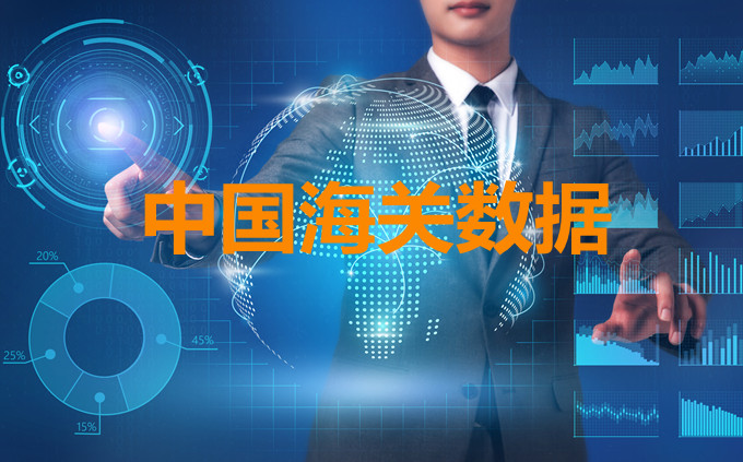 中國海關(guān)數(shù)據(jù)查詢系統(tǒng)