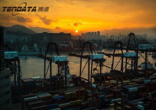 進口海關數據查詢