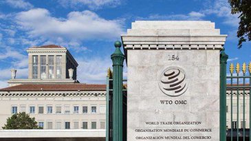 世貿(mào)組織報告顯示：全球貨物貿(mào)易顯露復蘇跡象