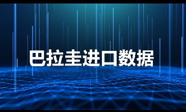 巴拉圭海關數(shù)據(jù)——海關數(shù)據(jù)查詢入口