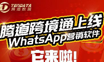 騰道WhatsApp營(yíng)銷軟件它來啦！只需999元