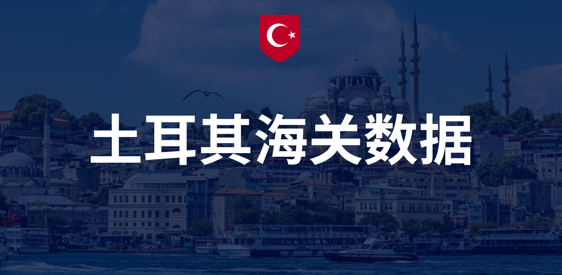 土耳其海關(guān)數(shù)據(jù)-全球海關(guān)進出口數(shù)據(jù)