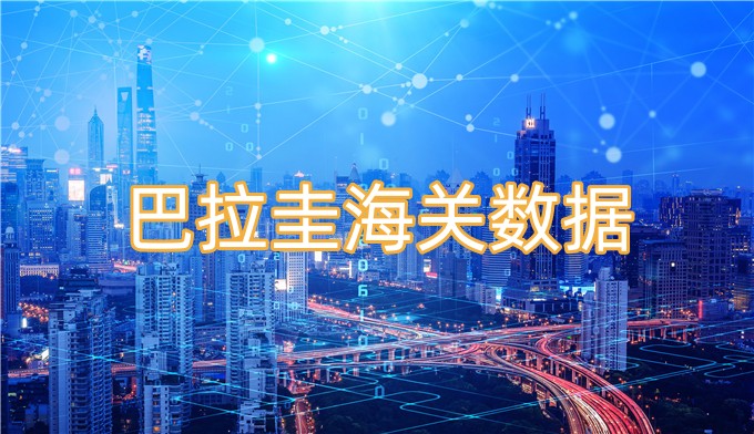 巴拉圭海關數(shù)據(jù)-全球海關進出口數(shù)據(jù)