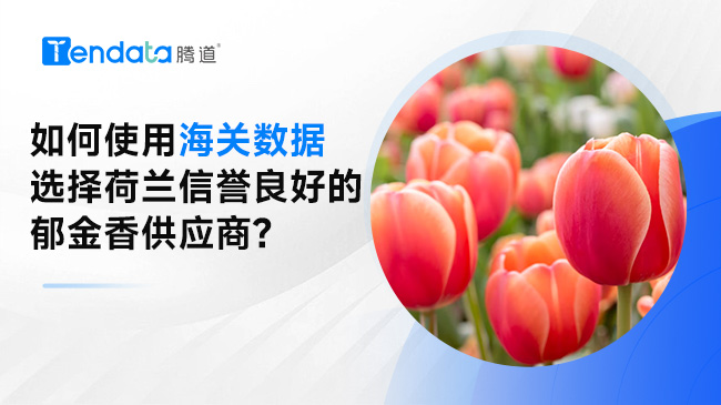 如何使用海關(guān)數(shù)據(jù)選擇荷蘭信譽良好的郁金香供應(yīng)商?