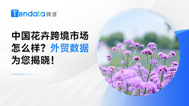 中國花卉跨境市場怎么樣？外貿(mào)數(shù)據(jù)為您揭曉！