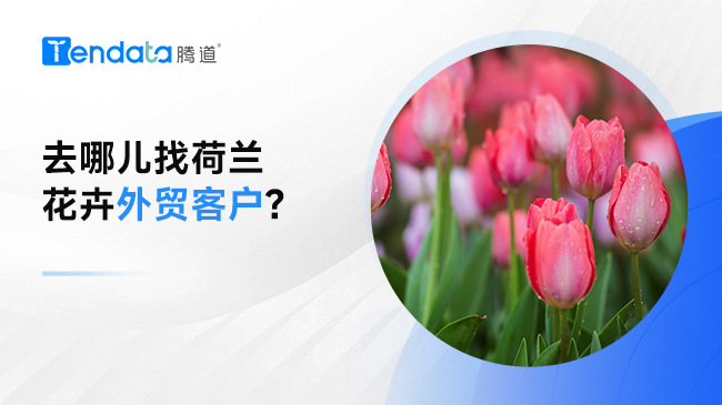 去哪兒找荷蘭花卉外貿(mào)客戶?