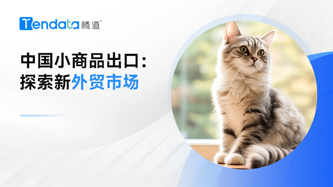 中國小商品出口：探索新外貿(mào)市場