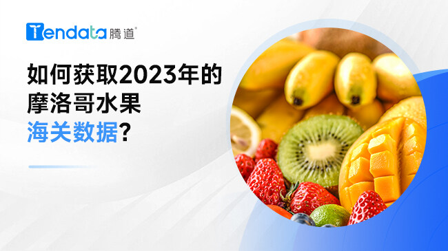 如何獲取2023年的摩洛哥水果海關數(shù)據(jù)?