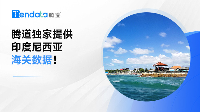 騰道獨(dú)家提供印度尼西亞海關(guān)數(shù)據(jù)！
