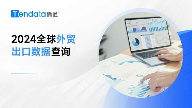 2024全球外貿(mào)出口數(shù)據(jù)查詢