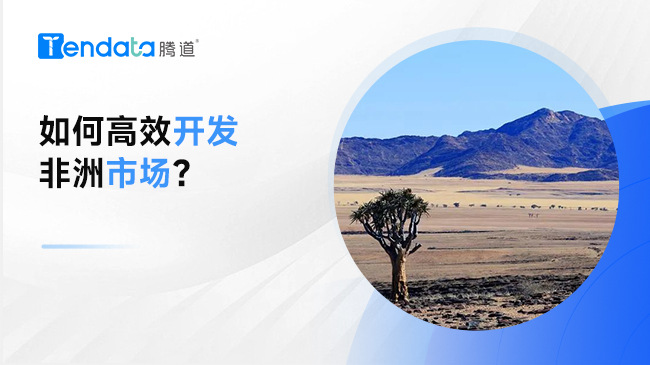 如何高效開發(fā)非洲市場？外貿(mào)公司必看