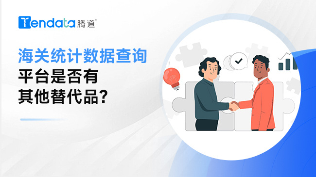 除了海關(guān)總署，海關(guān)統(tǒng)計(jì)數(shù)據(jù)查詢(xún)平臺(tái)是否有其他替代品?