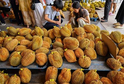 中國榴蓮市場需求強(qiáng)勁！如何用海關(guān)數(shù)據(jù)找到靠譜的榴蓮供應(yīng)商？
