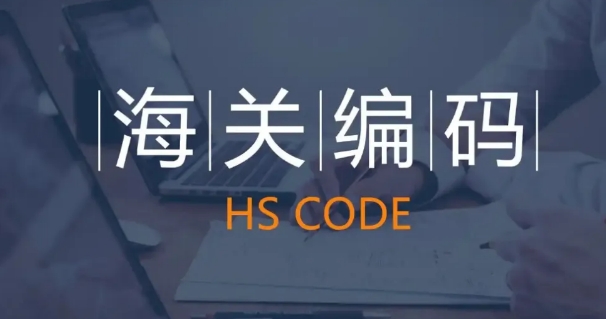 2025年海關(guān)編碼查詢官網(wǎng)入口